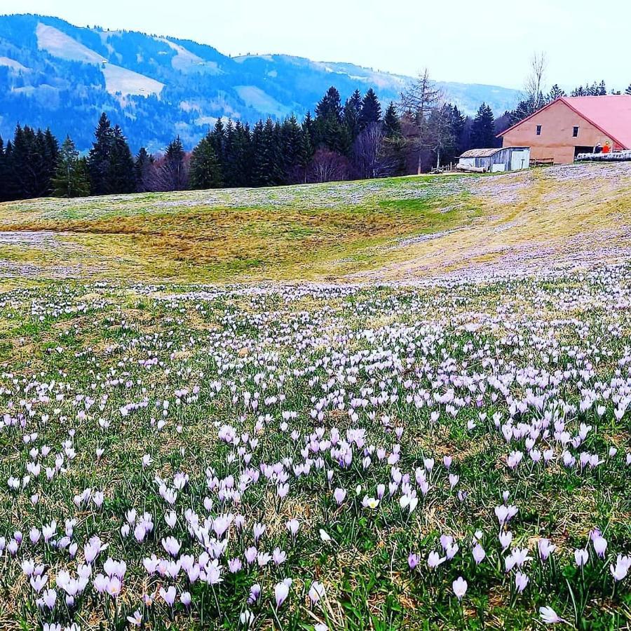 Landhaus Eibelesee Oberstaufen Esterno foto