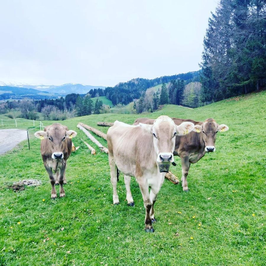 Landhaus Eibelesee Oberstaufen Esterno foto