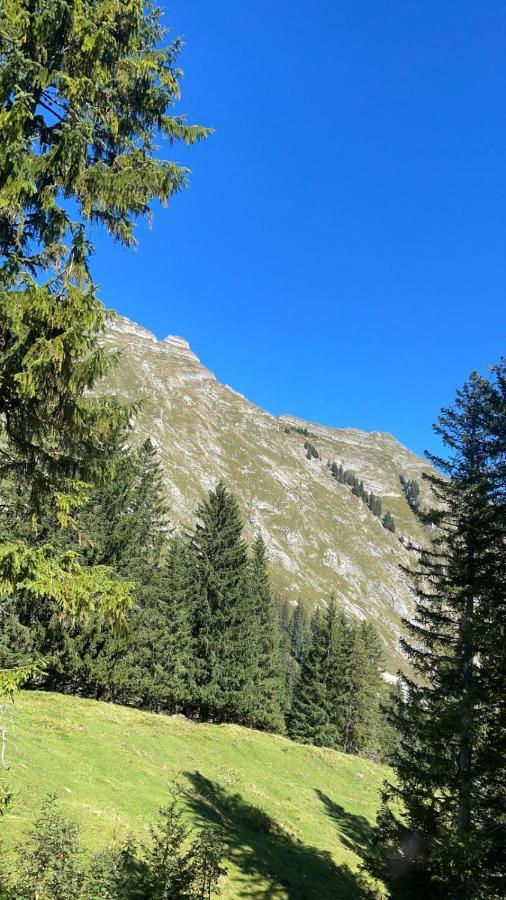 Landhaus Eibelesee Oberstaufen Esterno foto