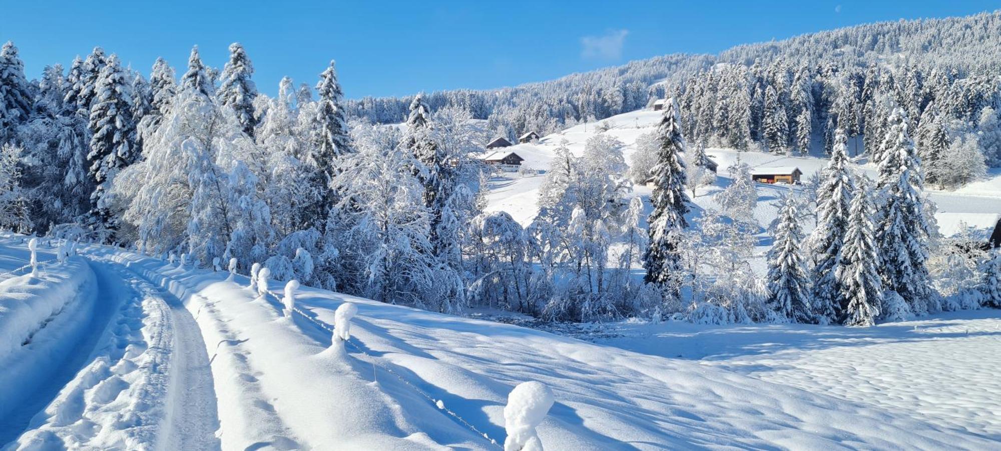 Landhaus Eibelesee Oberstaufen Esterno foto