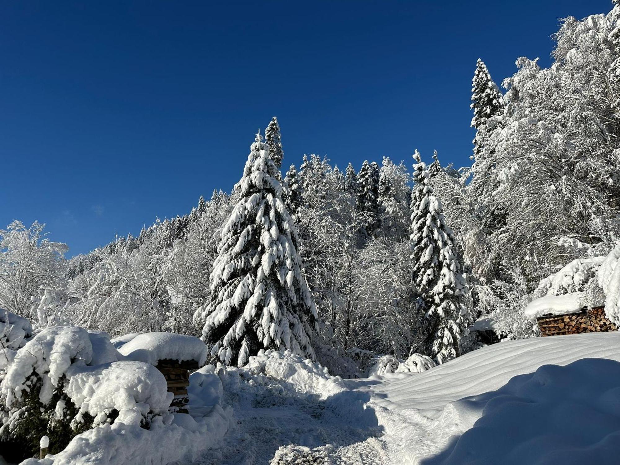 Landhaus Eibelesee Oberstaufen Esterno foto