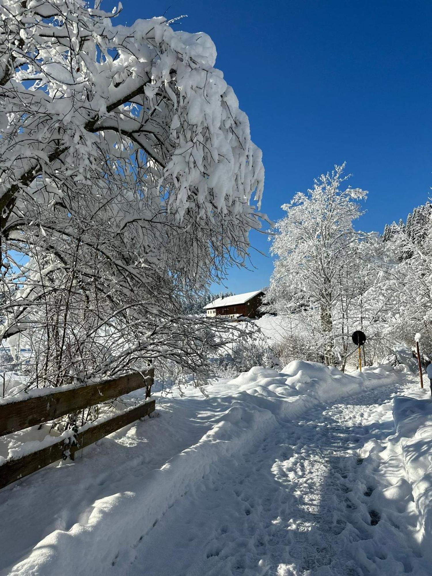 Landhaus Eibelesee Oberstaufen Esterno foto