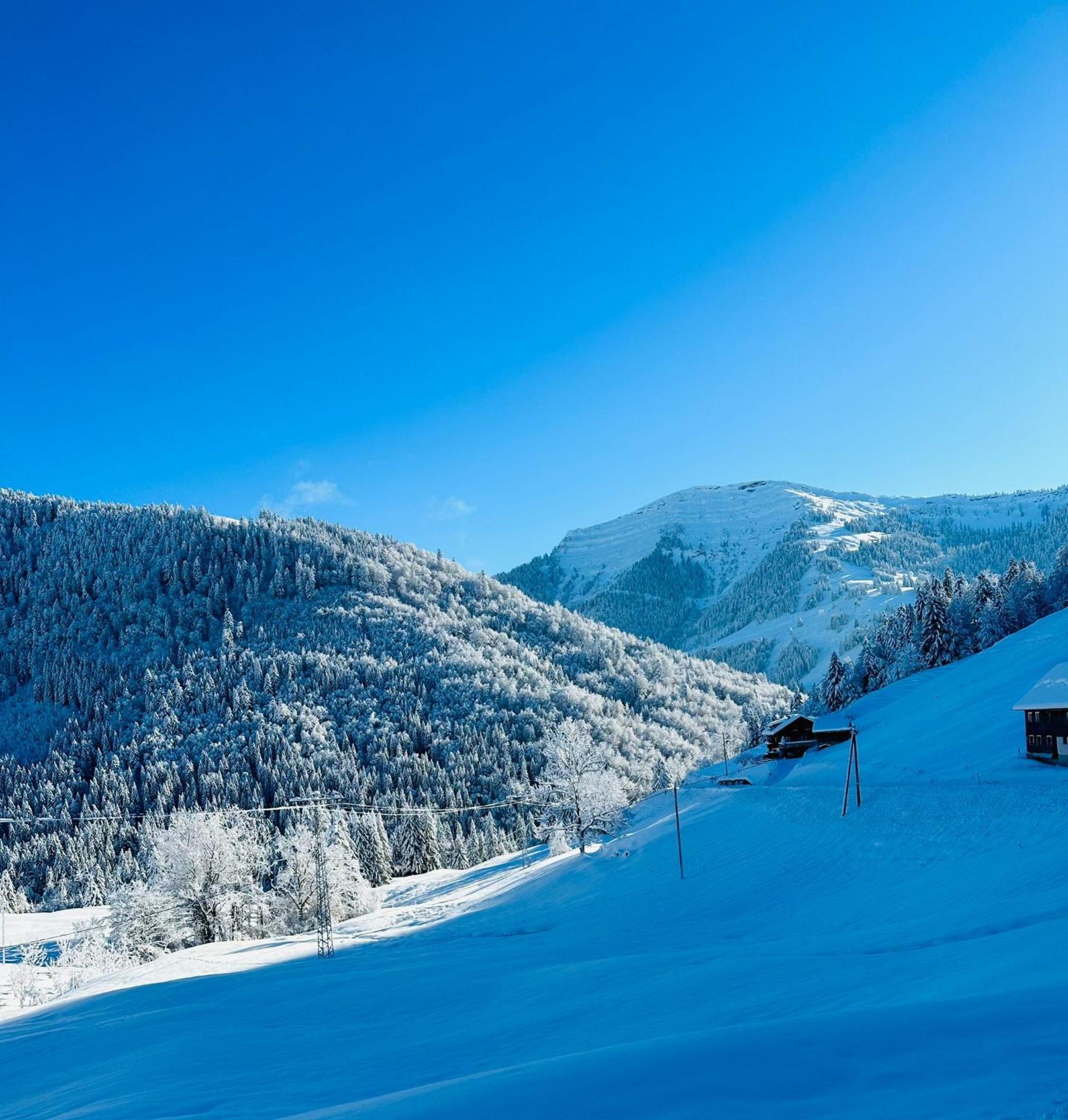 Landhaus Eibelesee Oberstaufen Esterno foto