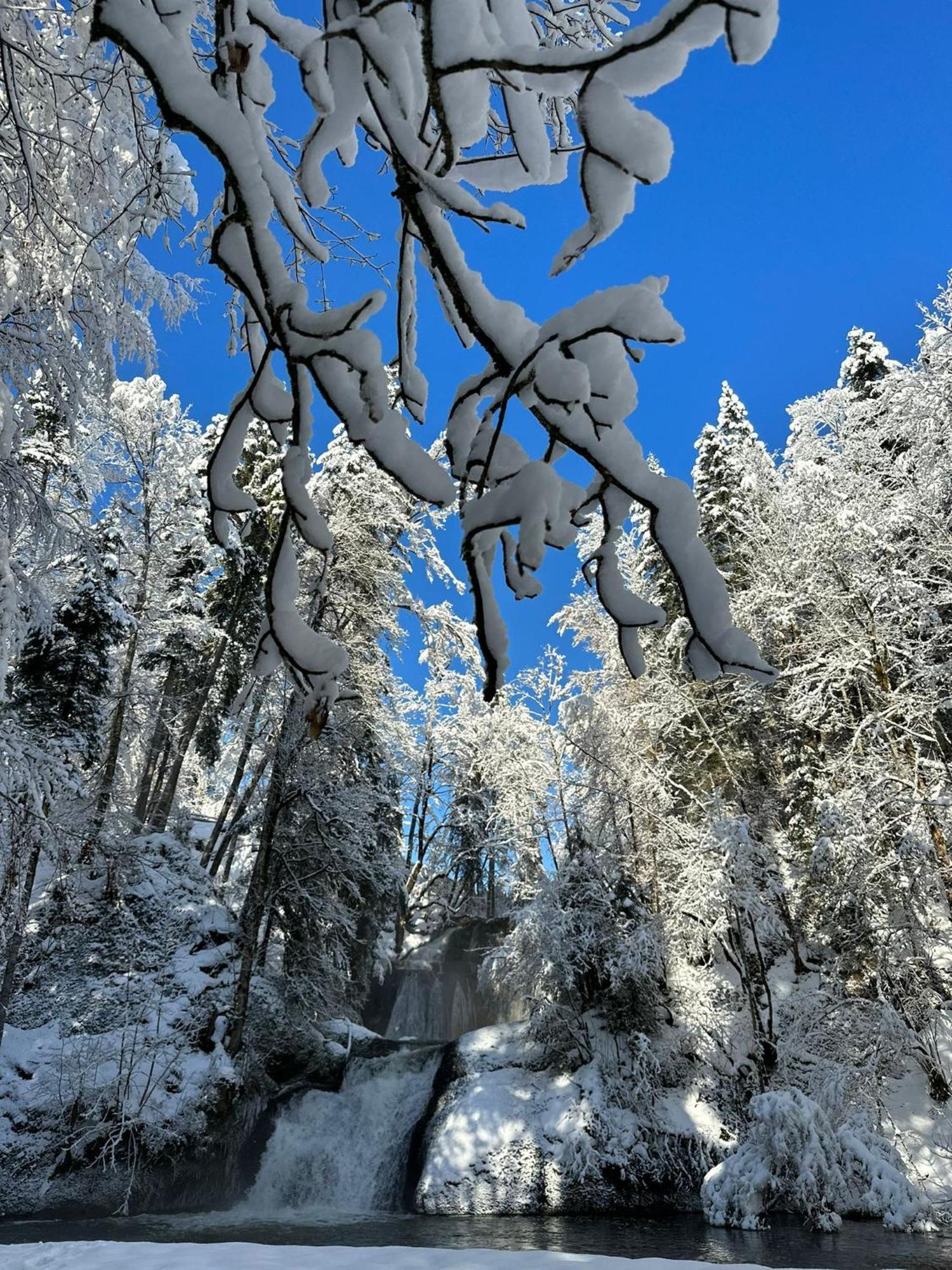 Landhaus Eibelesee Oberstaufen Esterno foto