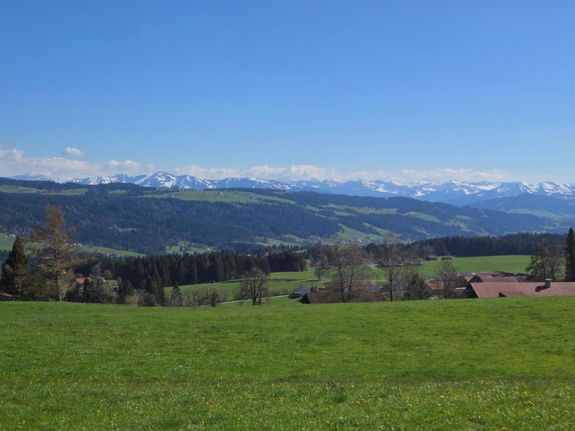 Landhaus Eibelesee Oberstaufen Esterno foto